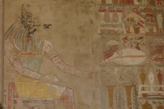 Anubis