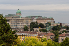 Königspalast