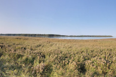 20200914170945-0024