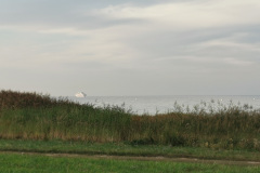20200915181311-0033