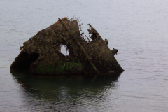 Wrack vor Helgoland