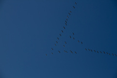 20190923114908-0040