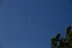 20190923114912-0041