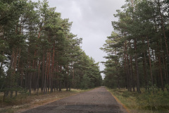 20190918161947-0020