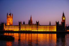 Westminster Palace by NIght