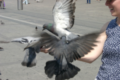 20030726-41795
