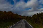 20210910132606-0007