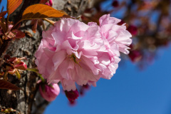 20190326142942-0046