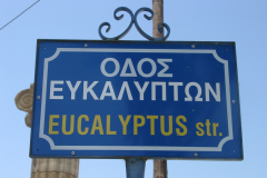 Eucalyptus Str.