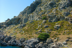 Rocks