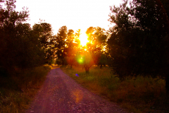 Sonnenuntergang