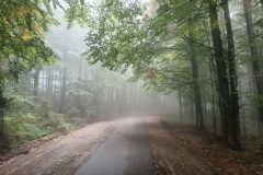 Der Nebel wird dichter