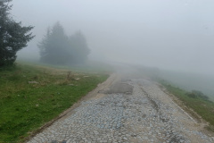 Wohin führt die Straße?