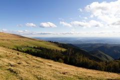 Den Blick schweifen lassen... 