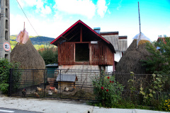 Hühner