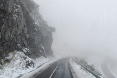 Schnee und Nebel