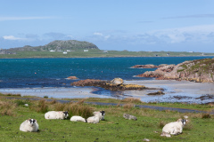 Fionnphort - Isle of Mull