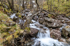 Flusslauf im Glen Nevis
