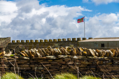 Flagge der Orkney Inseln