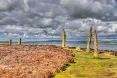 Stelen des Ring of Brodger - Orkney