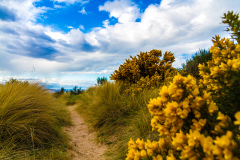 Strand von Nairn