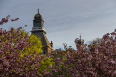 Leith Primary School - Edinbugh