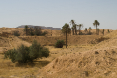 Steppe