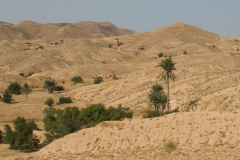 Wüstenimpressionen