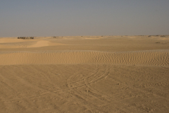 Die Sahara