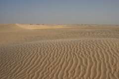 Die Sahara