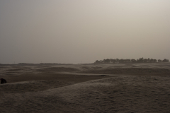 Die Sahara
