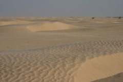 Die Sahara