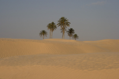 Die Sahara