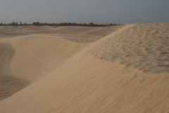 Die Sahara