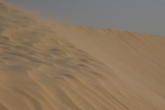 Die Sahara