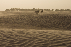 Die Sahara