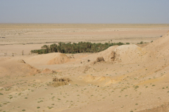 Chott el-Gharsa